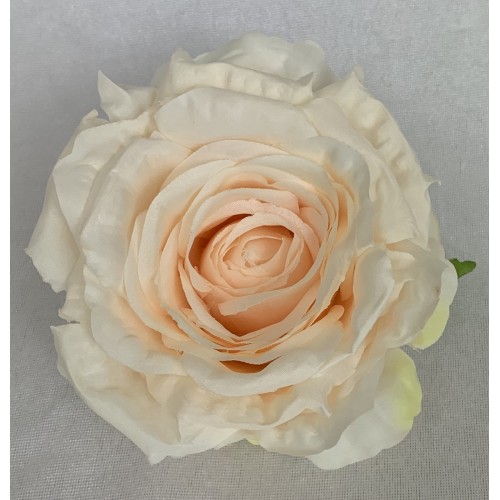 Róża wyrobowa EXCLUSIVE (6-pak) kolor 21